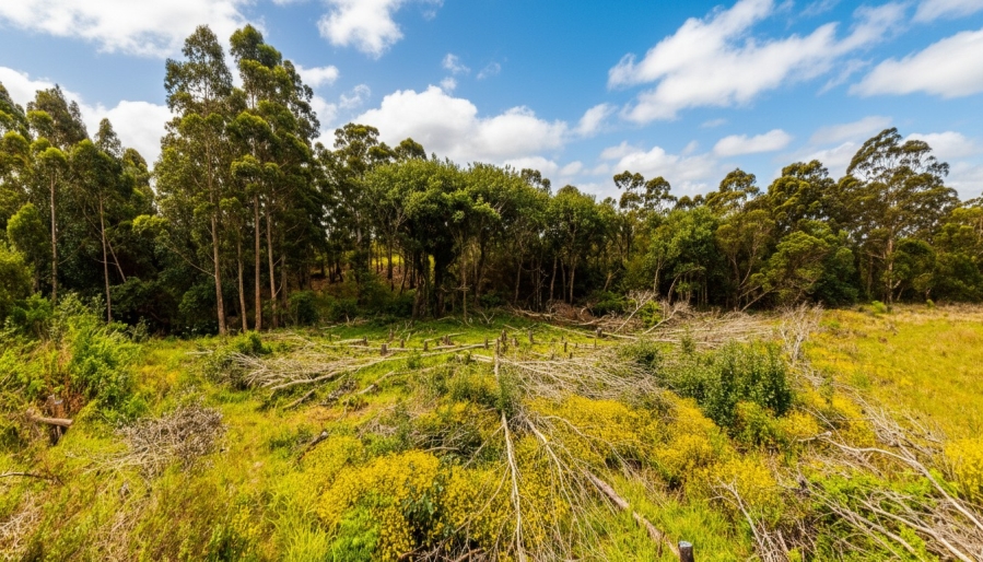 0 Bedroom Property for Sale in Kabega Park Eastern Cape